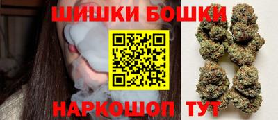 тгк Обь