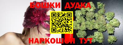 тгк Обь