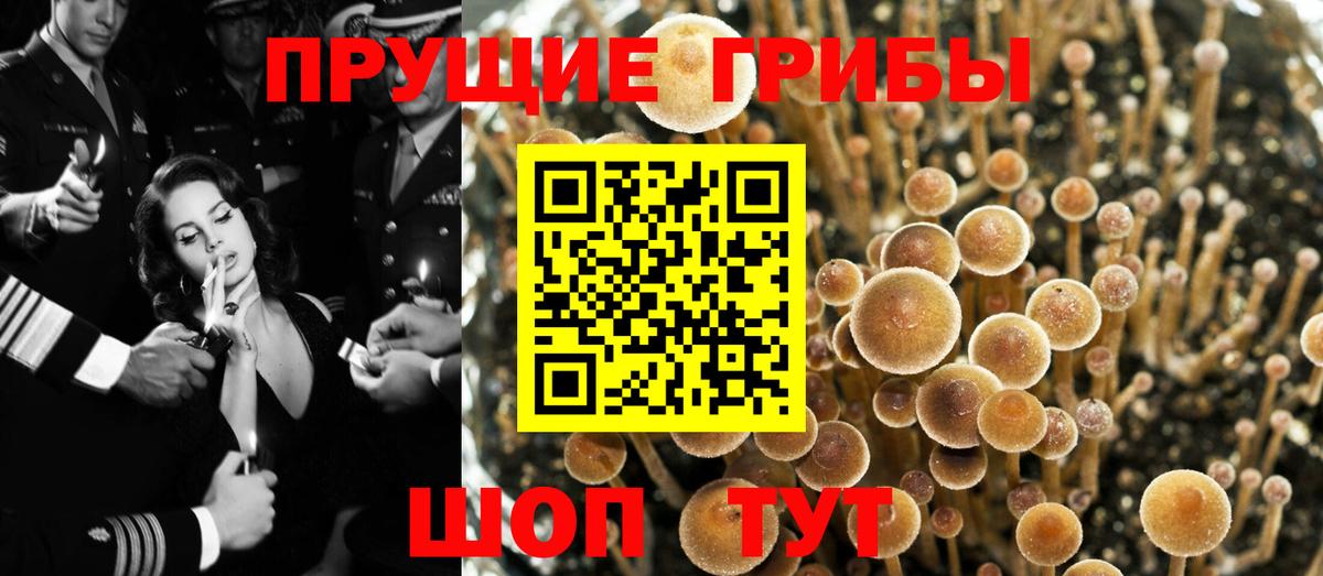 Псилоцибиновые грибы мицелий  Вход с VPN  Галлюциногенные грибы Psilocybe  Сочи 